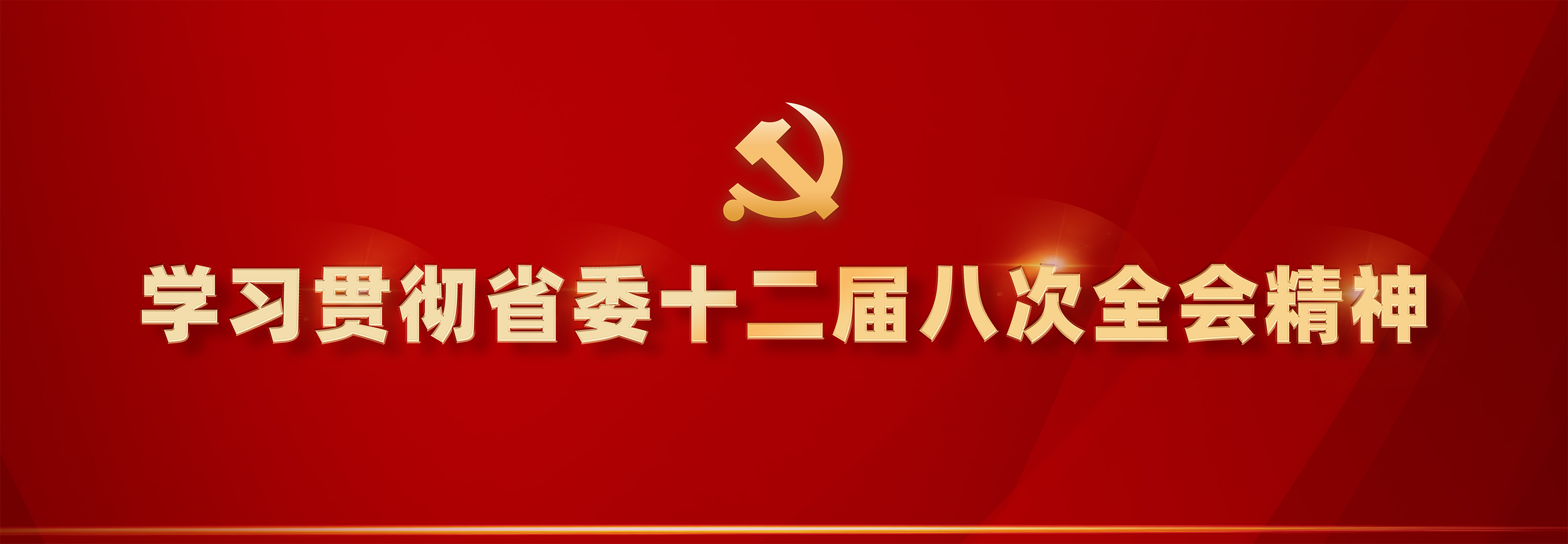 学习贯彻省委十二届八次全会精神
